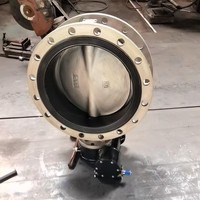 Katup Kupu-kupu Flens Ganda EPDM/PTFE Liner DI SS304 Body PN10 Standar DIN ANSI DN200 DN300 OEM Manual Untuk Industri Air