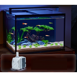 Best Sellers Glass Tabletop <strong>Fish</strong> <strong>tank</strong> with Ultra-white Back Filter <strong>Small</strong> Ecological Tabletop Landscape <strong>tank</strong> Glass for Household - Product Image 4
