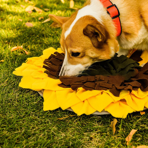 Tapis de reniflement pour chiens, tapis d'alimentation lente, jeu de puzzle pour chiots, jouet d'entraînement et d'alimentation pour chiens - Product Image 5