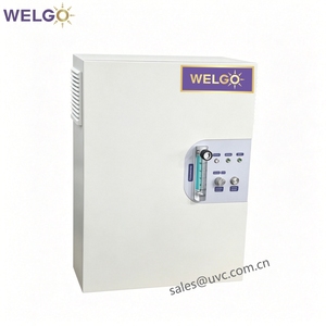 Générateur d'ozone <span class=keywords><strong>tubulaire</strong></span> WELGO 2 grammes à alimentation par air, machine à ozone compacte à refroidissement par air pour la désinfection de l'eau des piscines et des spas - Product Image 2