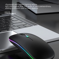 Souris sans fil 2 en 1 avec adaptateur Type-C vers USB Rechargeable par USB avec souris de jeu Bt pour ordinateur portable/PC/Windows/Pad