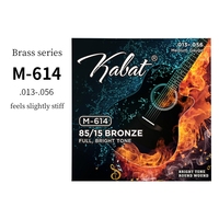 High Quality 6-String Acoustic Guitar Set Cheap Brass Musical Instruments M-610 Strings Stringed Instruments Parts Accessories