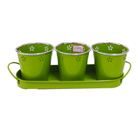 Ensemble de pots à plantes succulentes en métal galvanisé avec plateau de drainage, pot de fleurs d'intérieur pour fenêtre de cuisine, décoration de jardin à domicile