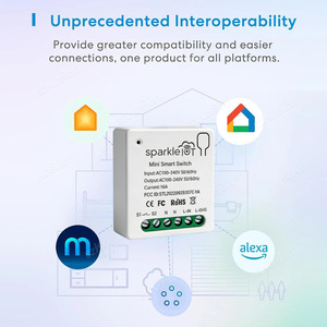 Matter Smart Relay 10A 16A รองรับหลายแพลตฟอร์ม ใช้งานร่วมกับ Homekit Alexa Google ควบคุมด้วยเสียง สวิตช์บ้านอัจฉริยะ - Product Image 2