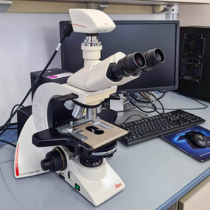 Leica dm2500 lâm sàng kính hiển vi <span class=keywords><strong>Ergonomic</strong></span> hệ thống trinocular sinh học kính hiển vi với LED nguồn ánh sáng - Product Image 6