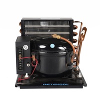 Unité de condensation BD65HC alimentée 110-120V en acier inoxydable pour congélateur, réfrigérateur, déshumidificateur, usage commercial, écologique