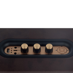 Amplificador de Guitarra Acústica Coolmusic de 30 Vatios con Batería, Audio de Rango Completo, 5-10 Horas de Duración de la Batería, Portátil - Product Image 2