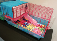 Personnalisé Lavable en Machine Cochon d'Inde Petits Animaux Polaire Cage Doublure Réutilisable Polaire Lapin Literie Rat Cage Polaire Doublure