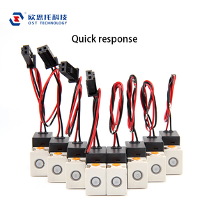 Van điện từ vi mô <span class=keywords><strong>2</strong></span> chiều chất lượng cao bán buôn OST T107U-FL DC 12V thường đóng - Product Image 4