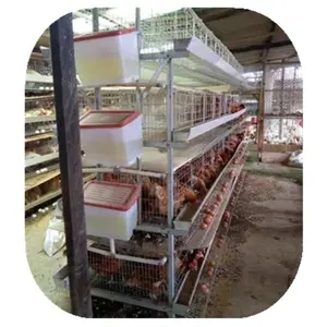 Modern Design H Type Automatic Egg Poultry Battery Layer Chicken Cages for Chicken Farm