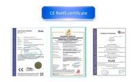 Signal Patented FT16 Large-flow Peristaltic Pump OEM Biotechnology Pharmaceutical Industry Max Flow 2857.93 mL/min