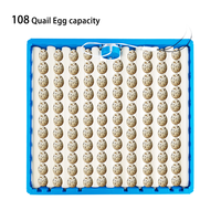 220v/110V 70 rouleau oeuf plateaux pour vente en plastique plateau d'oeufs machine petit plateau d'oeufs machine