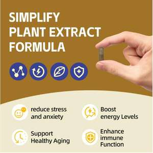 GMP OEM özel etiket ashashandha kapsül takviyeleri yetişkinler için doğal Organic1050mg ashashandha özü bağışıklık enerji sağlık - Product Image 4