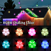 Luces LED RGBW para Exteriores, DC24 36V UCS2905 IP65, Bombillas LED Impermeables, Guirnalda de Luces Comercial para Decoración de Jardín y Fiestas