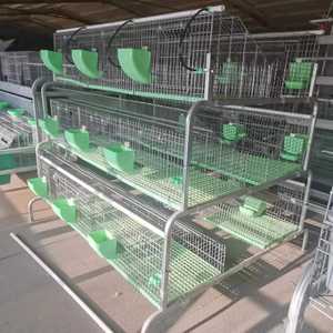 กรงกระต่ายชุบสังกะสีสำหรับ<span class=keywords><strong>ฟาร์ม</strong></span><span class=keywords><strong>กระต่าย</strong></span><span class=keywords><strong>เนื้อ</strong></span>ในยูกันดา - Product Image 2