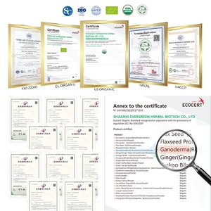 Ganoherb 100% hữu cơ Reishi Nấm <span class=keywords><strong>Ganoderma</strong></span> lucidum viên nang với bột bào tử OEM chiết xuất thảo dược bổ sung nhà sản xuất - Product Image 4