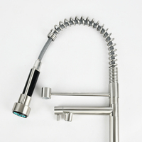 Robinet de cuisine SANIPRO, design moderne européen, en acier inoxydable, avec pré-évier, mélangeur, double sortie d'eau, avec douchette extractible