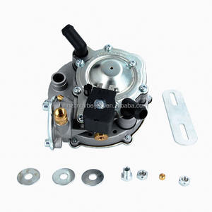 <span class=keywords><strong>NGV</strong></span>車減圧装置GLPガスレギュレーターLPGガスレギュレーター変換キットAT07高圧ガスLPG減圧装置 - Product Image 5