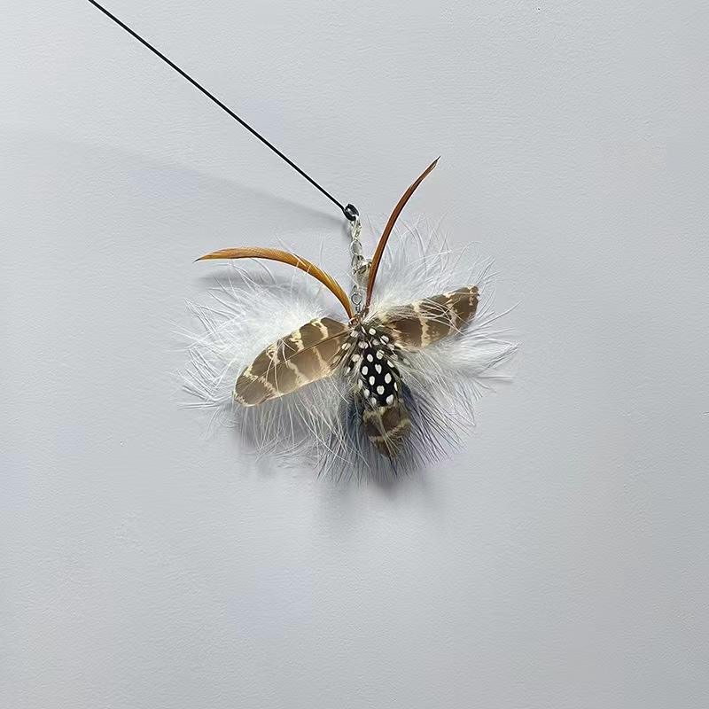 Cabeza de reemplazo de plato manchado