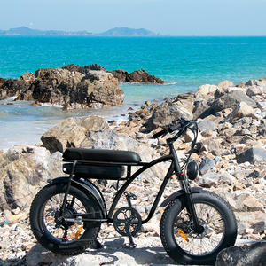 Vélo électrique de style <span class=keywords><strong>moto</strong></span> 2022 <span class=keywords><strong>Super</strong></span> 48v 350w/500w <span class=keywords><strong>73</strong></span> Fat Tire E Bike Vélo électronique - Product Image 6
