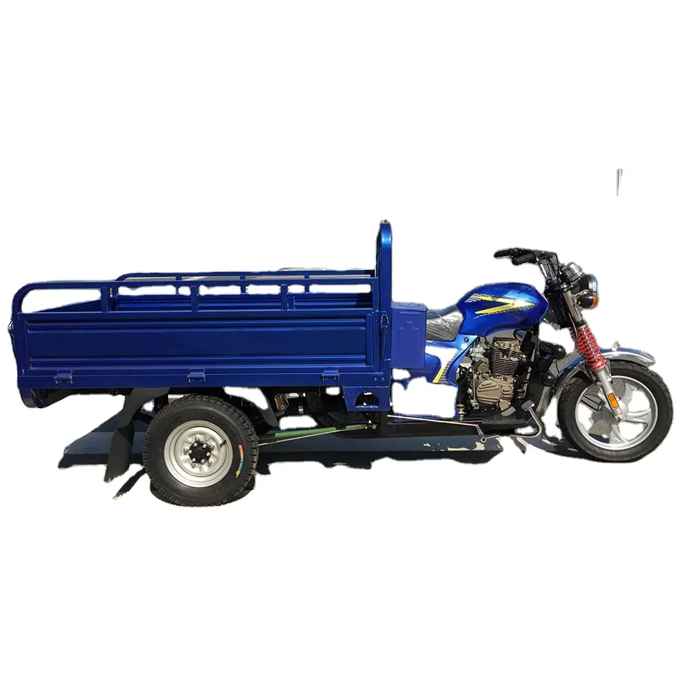 New Style 250cc Tricycle Passenger and Cargo Tricycle Chain Red ISO Motorized Water Tank Motorcycle Tricycle Water Tank 1000 36V