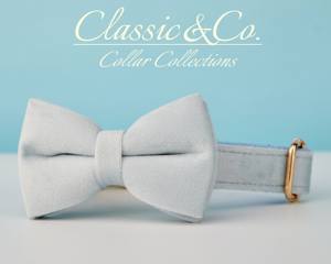 Ensemble laisse et collier personnalisés Lihtblue Veet avec boucle en métal gravée sur mesure, cadeau d'anniversaire pour chiot gratuit - Product Image 4