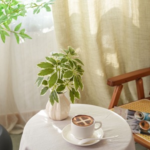 Planta Artificial CallaFloral Schefflera en Forma de Árbol, Blanca y Verde, de PVC, Decoración para Bodas, Estilo INS, Comercio Electrónico Transfronterizo - Product Image 1
