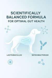 Los masticables probióticos para mascotas OEM para perros y gatos apoyan la flora intestinal mejoran la digestión y fortalecen la inmunidad - Product Image 4