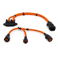 Harnais de câblage haute tension personnalisé pour véhicules électriques, assemblage de câbles avec connecteur électrique multipolaires pour intégration véhicule