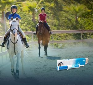 יצרן תוספי תזונה מקצועיים לחיות מחמד מייצר סוסים - Product Image 4