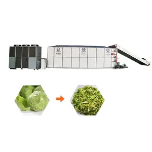 Baixin Vegetable Drying Machine Cabbage Mesh Belt Dryer