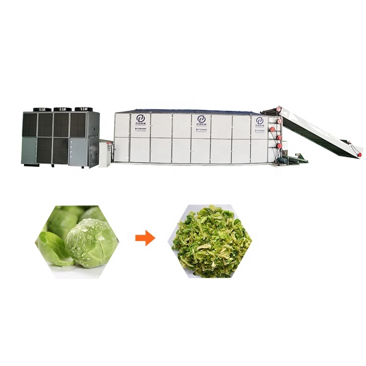 Quality Assurance Cabbage Dryer Machine Food