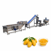 Fabrieks prijs tomaten mango pasta puree pulp sap saus ketchup jam maakmachine productielijn
