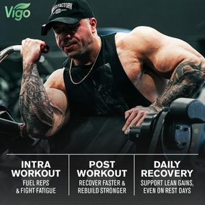 Vigo Private Label Pre allenamento integratore creatina monoidrato in polvere energia <span class=keywords><strong>BCAA</strong></span> creatina in polvere - Product Image 5