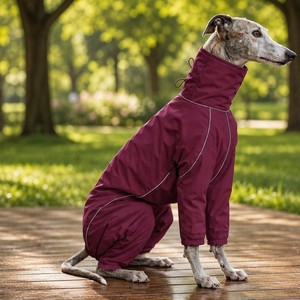 Manteau imperméable et coupe-vent pour chien Greyhound, veste réfléchissante pour animaux de compagnie, impression personnalisée couleur OEM ODM, tenue d'extérieur, vêtements pour animaux - Product Image 4