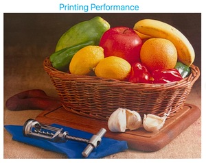 Unit <span class=keywords><strong>Drum</strong></span> NPG-45-46/GPR-30-31/C-EXV28-29 untuk Canon IR C5045/C5051/AC5045i/5051/5250/5255; IR C5030/C5035/AC5030/5035/C5235/C5240 - Product Image 6