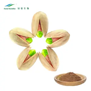 GMP Factory Supply Pistachio Shell Powder, Pistachio Extract, Pistachio Nuts Extract