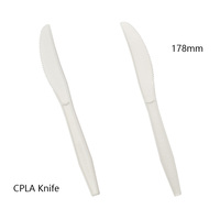 Ensemble de couverts modernes biodégradables en CPLA écologiques avec serviette et sel et poivre pour emballage de boîte à lunch de mariage