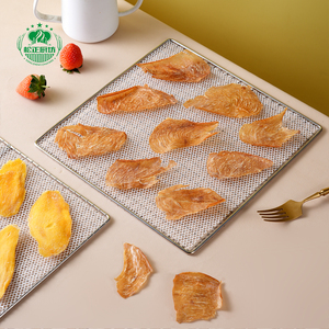 Leicht zu Reinigende Lebensmittelechte Grobgitterige Ofenfeste Hitzebeständige Obst- und Gemüse-Dehydrierungsmatte Antihaftbeschichtetes Silikon-Trockennetz - Product Image 4