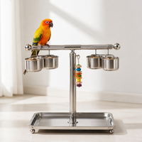 Support pour perroquet en acier inoxydable, perchoir en T avec plateau amovible, 4 coupelles et crochet pour jouets, pour Conure solaire et Cockatiel