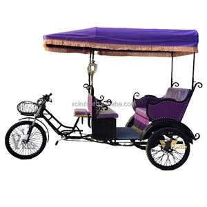 Pedicab électrique luxueux pour un transport urbain moderne - Product Image 1