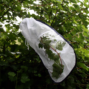 Toptan şube böcek yaprak kafes şube kafes özelleştirilmiş böcek kafes bahçe bitki meyve koruyucu çanta kapakları - Product Image 1