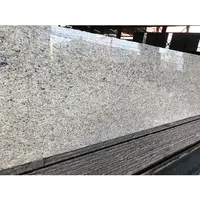 床タイルベージュ天然花崗岩中国製