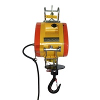 Mini grue de levage électrique 500kgs Petite grue à chaîne Mini grue de levage