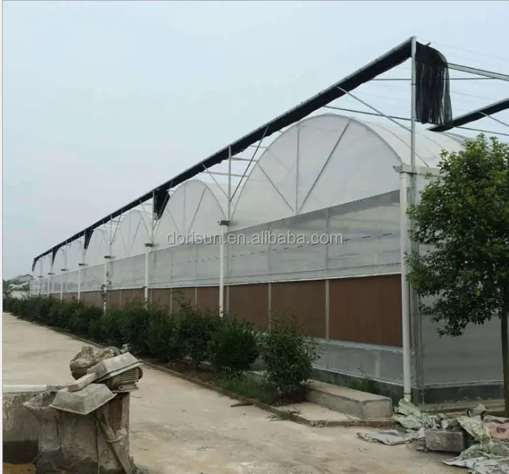 고품질 냉각 시스템 온실 완전한 세트 디자인 중국 도매 상업 온실 달팽이 농업