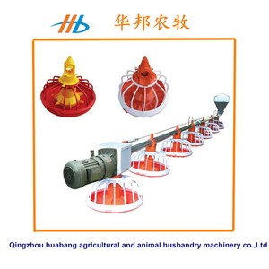 Thiết bị dây chuyền cho gia cầm tự động hiệu suất cao vật liệu PP chi phí thấp 1 năm cho chăn nuôi gà - Product Image 3