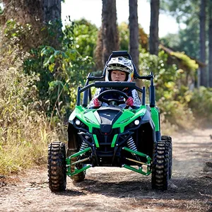 China 1500w Großen motor 1 sitz off-road fahrzeug utv