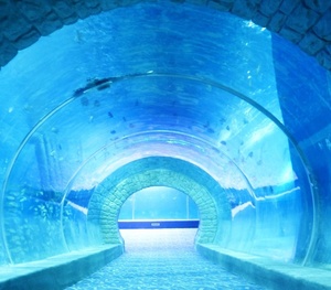 Cửa Sổ Quan Sát Đường Hầm <span class=keywords><strong>Acrylic</strong></span> Tàu Ngầm Của Bể Cá <span class=keywords><strong>Acrylic</strong></span> - Product Image 2