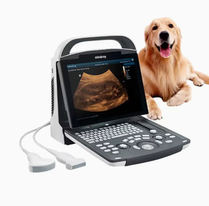 เครื่องอัลตราซาวนด์สัตว์พกพา Mindray DP‑10 VET ขาวดำ อุปกรณ์วินิจฉัยสัตว์ ได้รับมาตรฐาน CE ระดับ II รับประกัน 1 ปี - Product Image 1