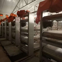 Système d'alimentation automatique personnalisé de type H prix d'usine bon marché pour cage d'élevage de batterie de poulets de chair nouvel état